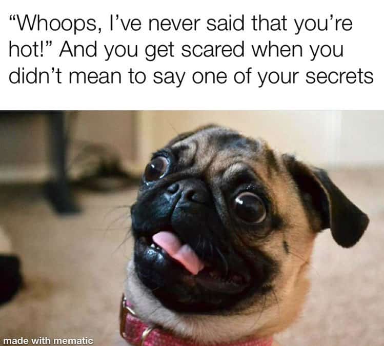 Whoops I've never said that you're hot and you get scared when you didn't mean to say one of your secrets - Pug Meme