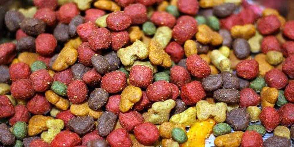 Ingredients to avoid in dog food: the shakedown