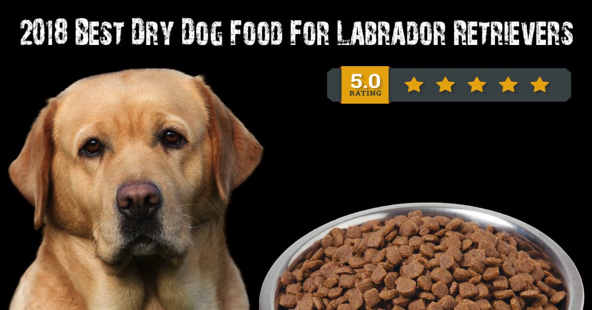 Top 5 Best Dry Dog Food Brands for a Labrador Retriever