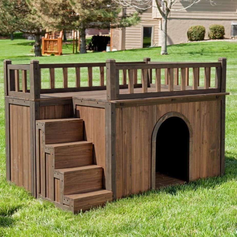 Large dog bunk beds