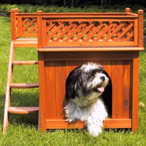 10 best dog bunk beds