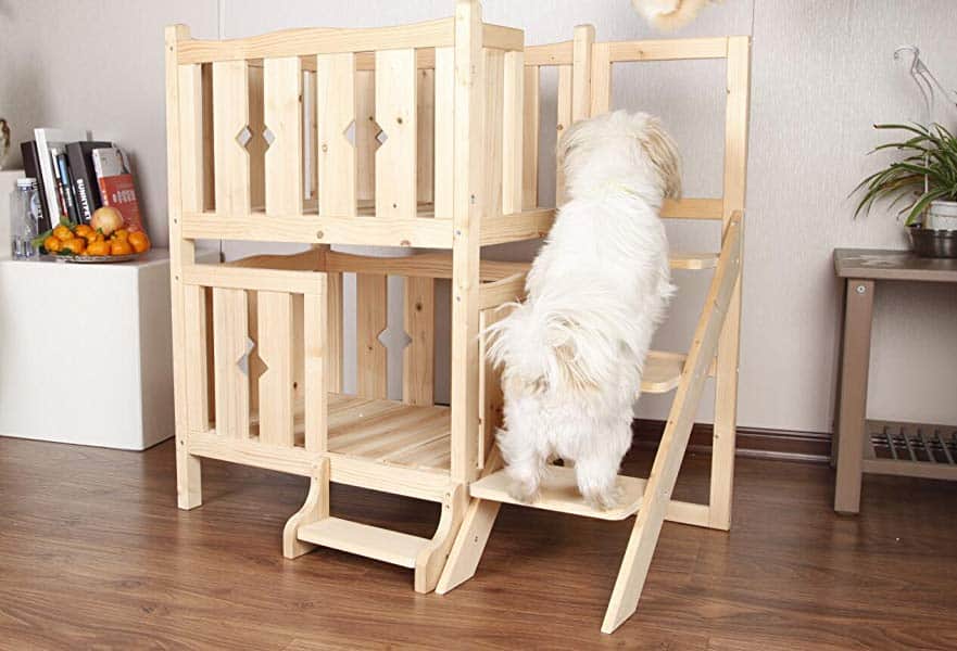 Dog bunk beds upgrade