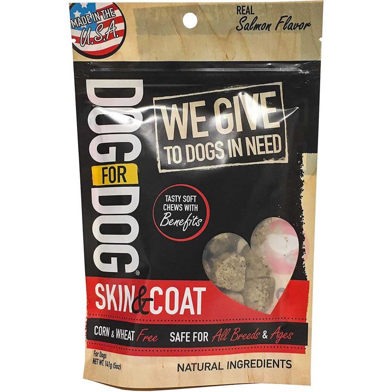 Dog for dog food review: what’s the verdict?