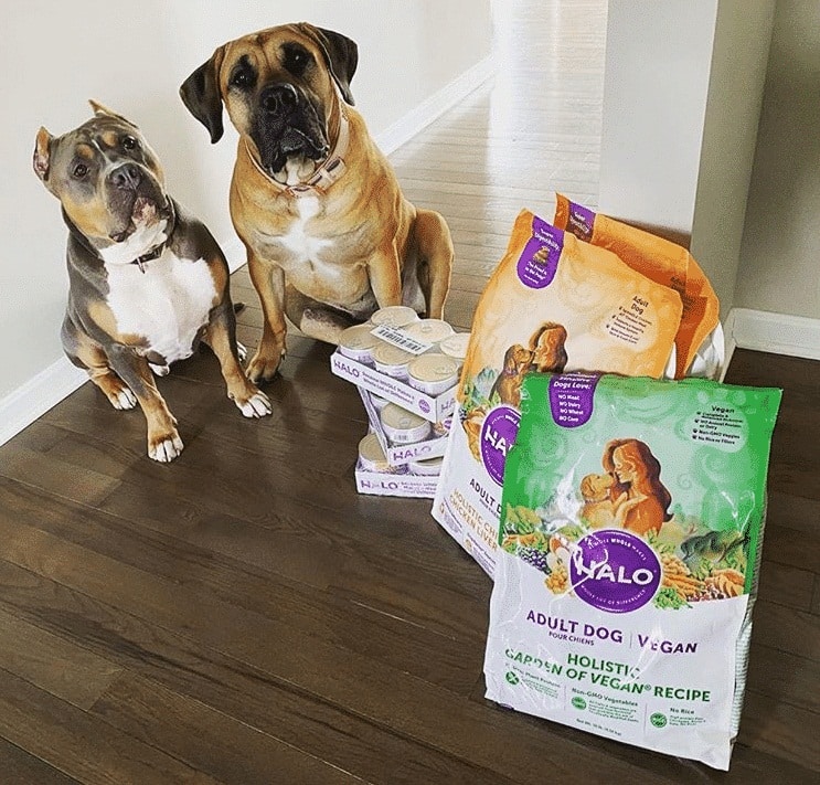 Halo Dog Food Review: Good or Bad?