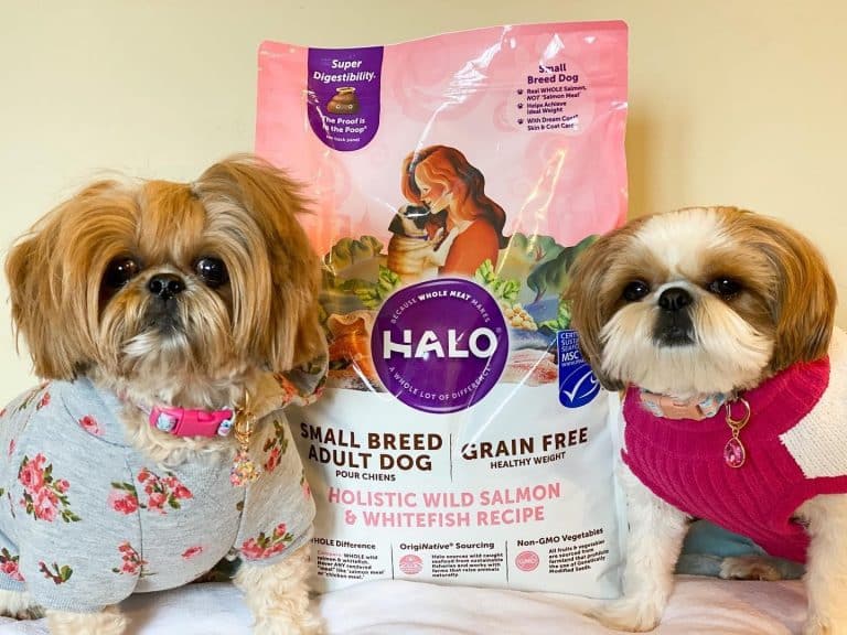 Halo dog food review: good or bad?