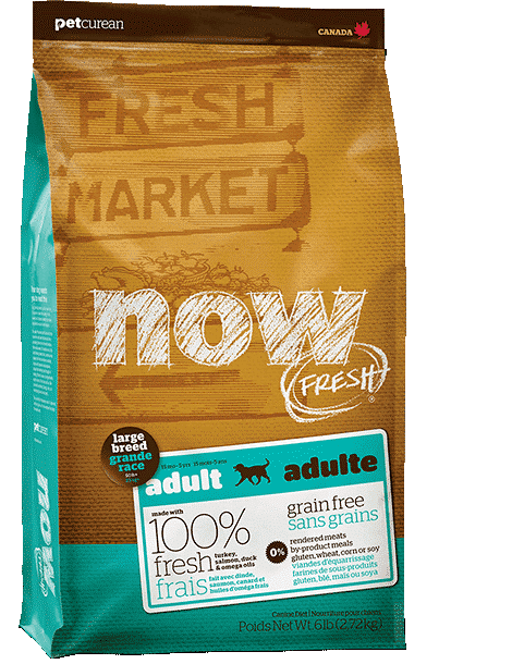 Top 10 Best Large Breed Adult Dry Dog Food Brands