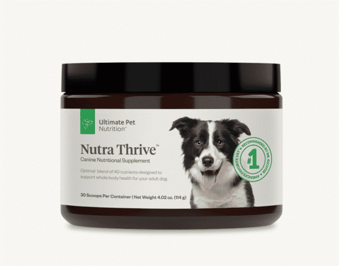 Nutra thrive bacon-flavored dog food supplement: an in-depth review