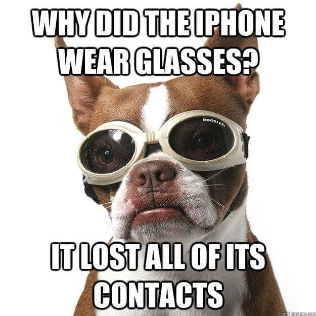 Boston terrier meme - why did the iphone wear glasses it lost all of its contacts