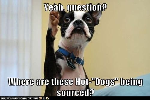 Boston terrier meme - yeah, question. Where are these hot dogs being sourced