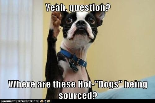 Boston Terrier Meme - yeah, question. Where are these Hot dogs being sourced