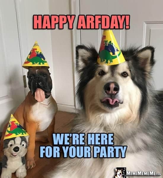 Happy birthday dog meme - happy arfday! We're here for your party