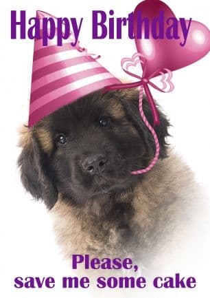 Happy birthday dog meme - happy birthday please, save me some cake