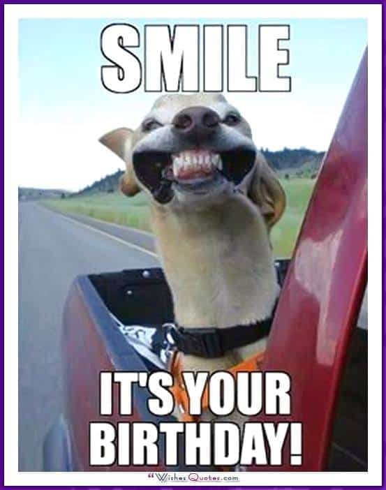 Happy birthday dog meme - smile it's your birthday!