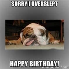 Happy birthday dog meme - sorry i overslept happy birthday!