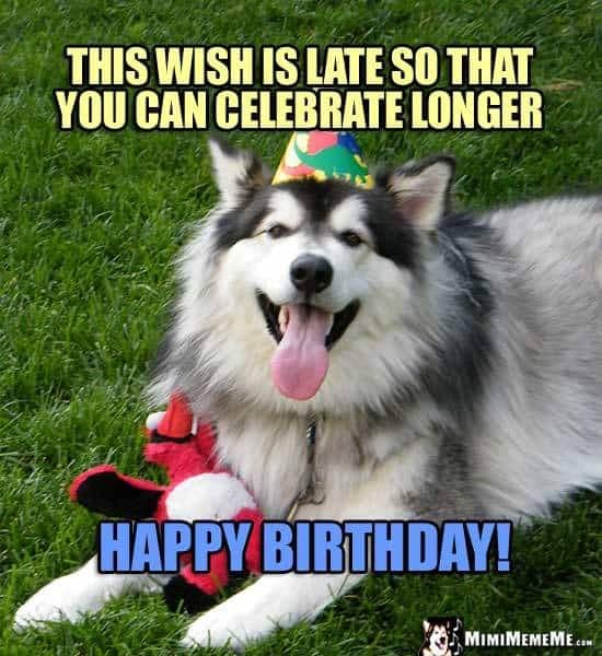 Happy birthday dog meme - this wish is late so that you can celebrate longer happy birthday!