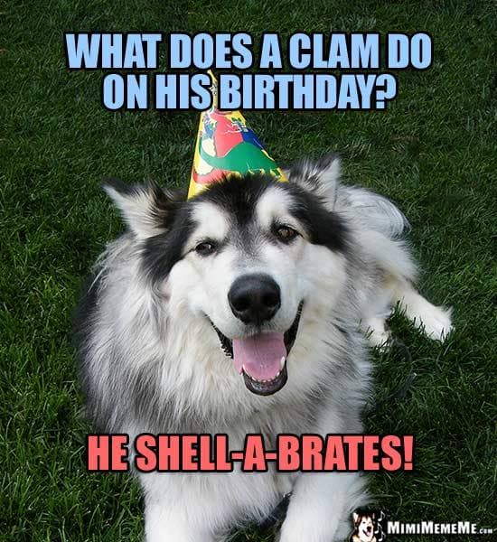 Happy birthday dog meme - we haveno idea what happy birthday means but we love it!