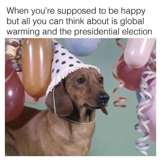 Happy birthday dog meme - when you're supposed to be happy but all you can think about is global warming and the presidential election