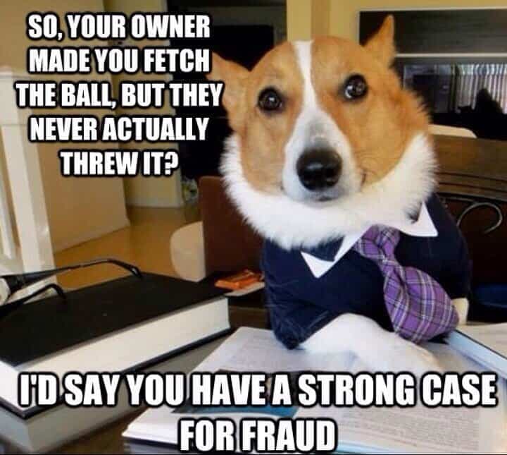So your owner made you fetch the ball but they never actually threw it i'd say you have a strong case for fraud - corgi meme