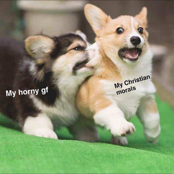 Horny gf, my christian morals - corgi meme