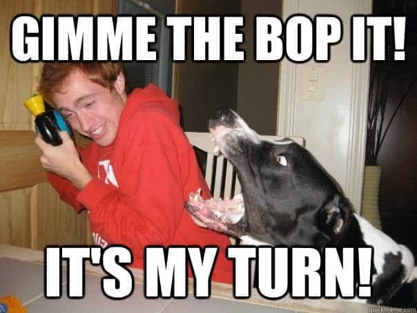 Angry Dog Meme - Gimme the bop it! It's my turn!