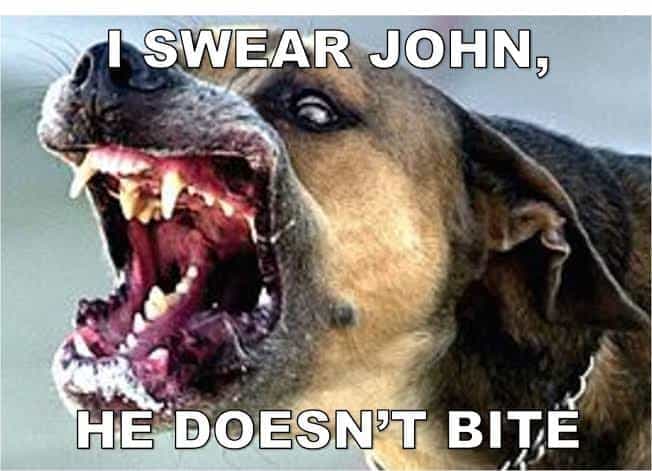 Angry dog meme - i swear john, he doesn't bite