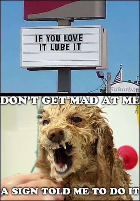 Angry Dog Meme - If you love it lube it. Don't get mad at me a sign told me to do it