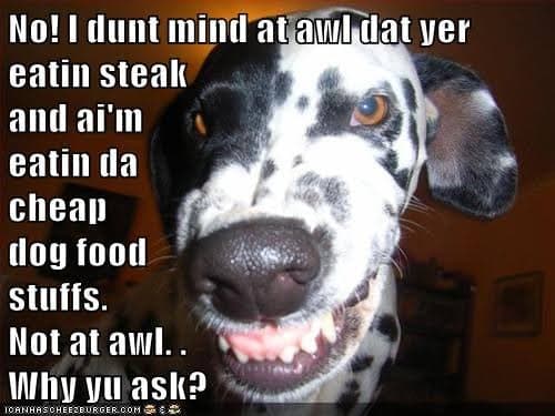 Angry dog meme - no! I dunt min at awl dat yer eatin steak and ai'm eatin da sheap dog food stuffs. Not at awl. Why yu ask