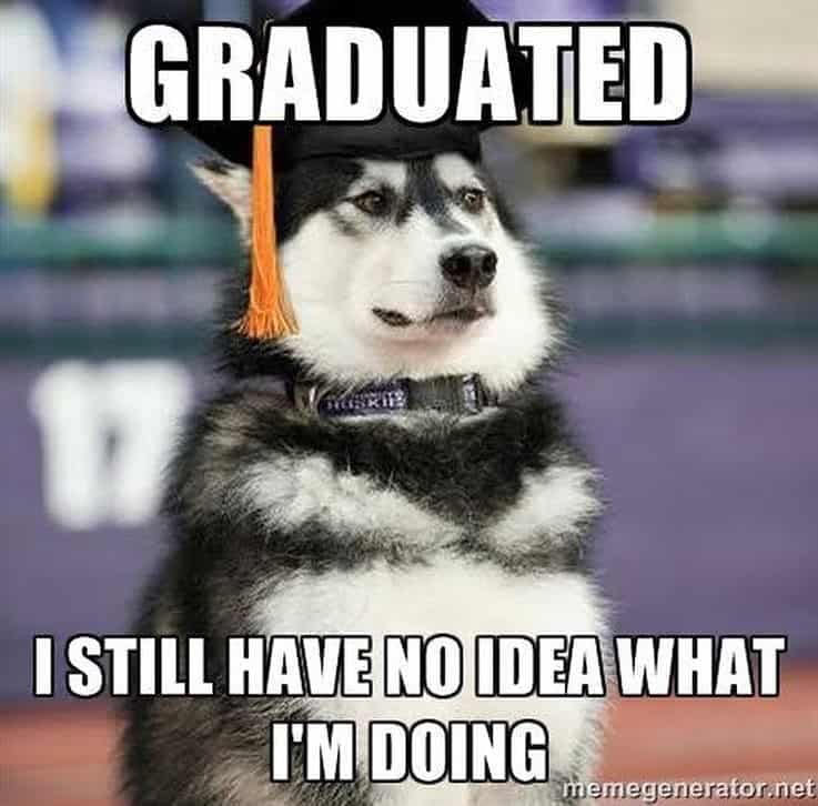 Husky meme - graduated. I still have no idea what i'm doing