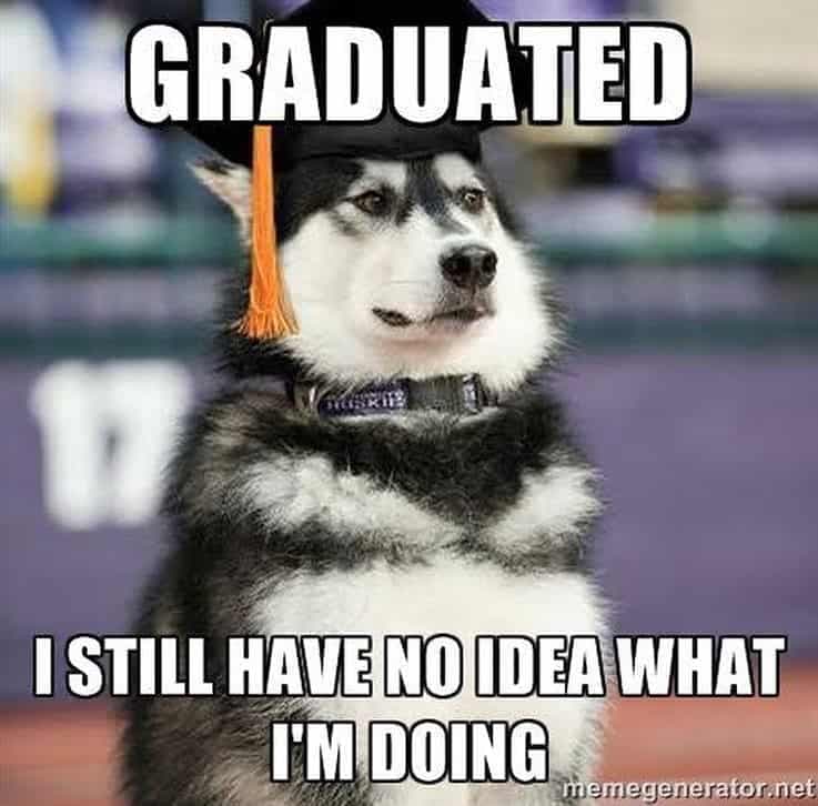 Husky Meme - graduated. I still have no idea what I'm doing