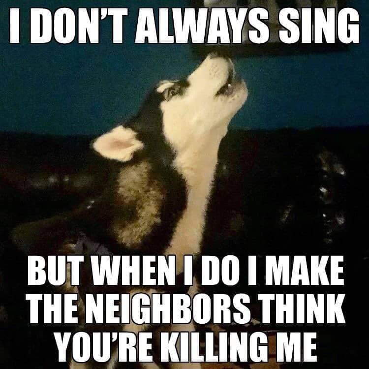 I don't always sing but when I do I make the neighbors think you're killing me - Husky Meme