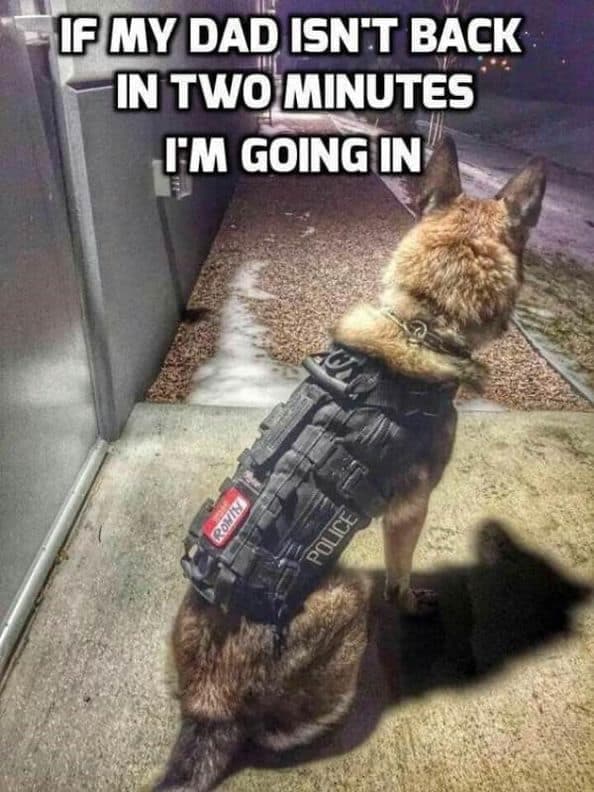 Service dog meme - if my dad isn't back in two minutes i'm going in
