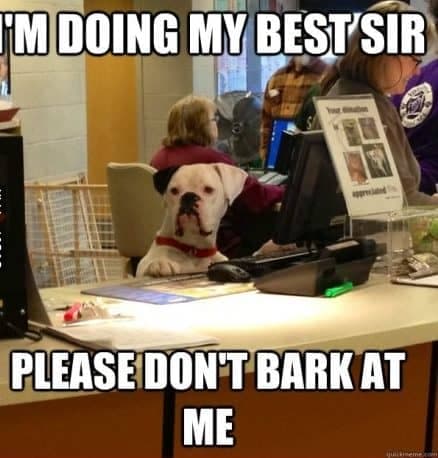Service dog meme - i'm doing my best sir please don't bark at me