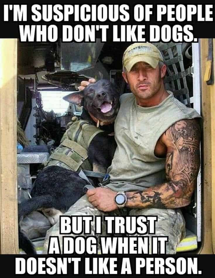 Service dog meme - i'm suspicious of people who don't like dogs. But i trust a dog when it doesn't like a person
