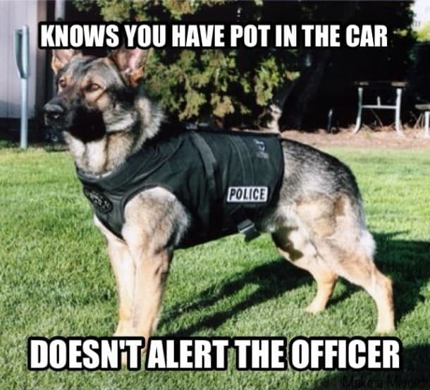 Service dog meme - knows you have pot in the car doesn't alert the officer