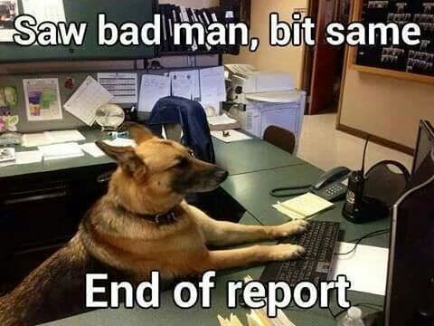 Service dog meme - saw bad man. Bit same. End of report