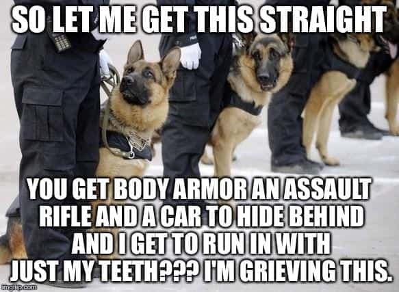 Service dog meme - so let me get this straight. You get body armor an assault rifle and a car to hide behind and i get to run in with just my teeth. I'm grieving this.