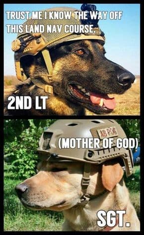 Service Dog Meme - Trust me I know the way off this land nav course. 2nd LT mother of God SGT.