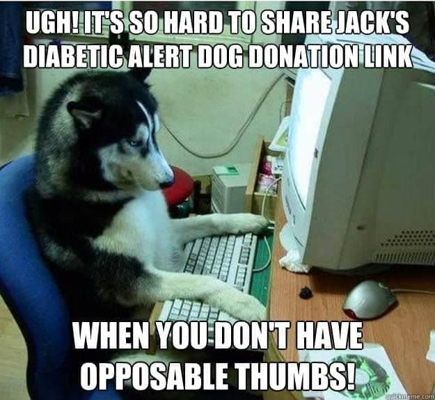 Service dog meme - ugh! Its so hard to share jacks diabetic alert dog donation link when you dont have opposable thumbs!