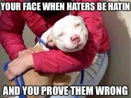 Smiling dog meme - your face when haters be hatin and you prove them wrong