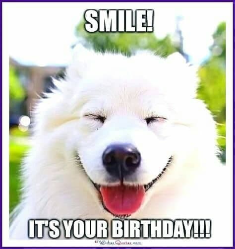 Smiling dog meme - smile! It's your birthday!!!