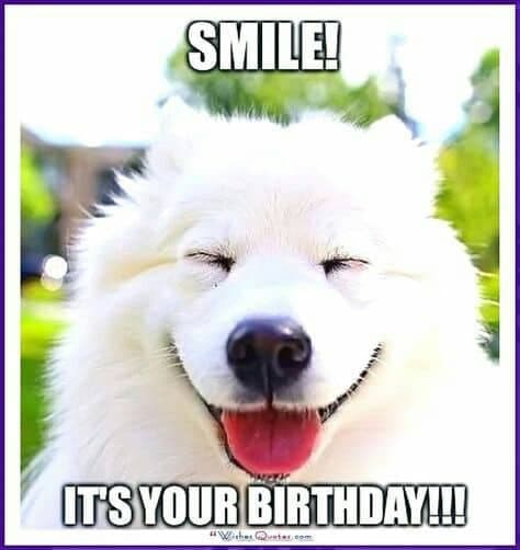 Smiling Dog Meme - Smile! It's your birthday!!!