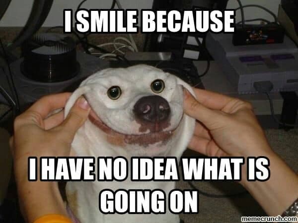 Smiling dog meme - i smile because i have no idea what is going on