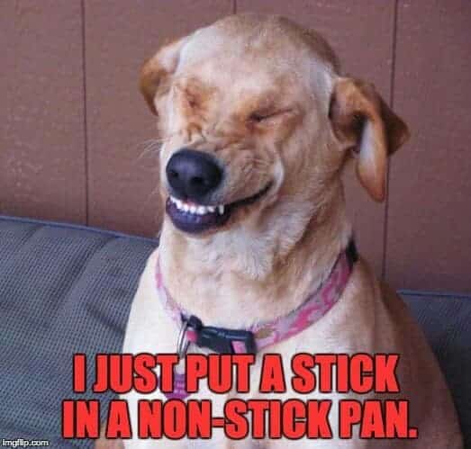 Smiling dog meme - i just put a stick in a non-stick pan