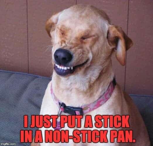 Smiling Dog Meme - I just put a stick in a non-stick pan