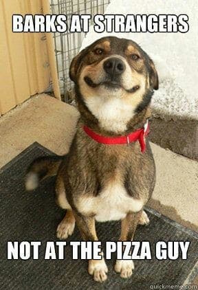 Smiling dog meme - barks at strangers not at the pizza guy