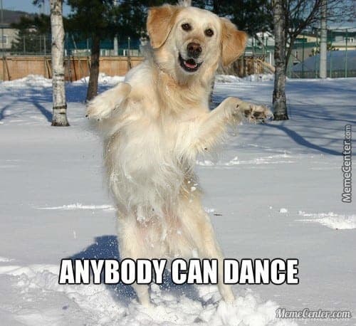 Dancing Dog Meme - Anybody can dance