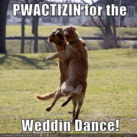 Dancing dog meme - pwactizin for the weddin' dance!