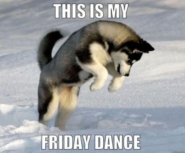 Dancing dog meme - this is my friday dance