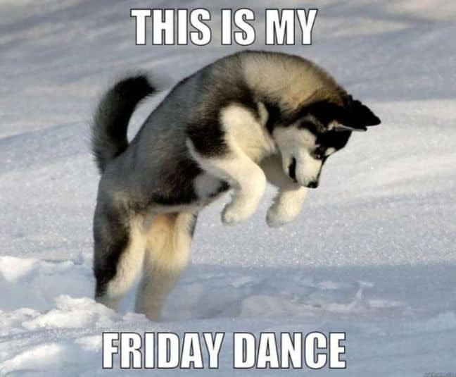 Dancing Dog Meme - This is my Friday dance