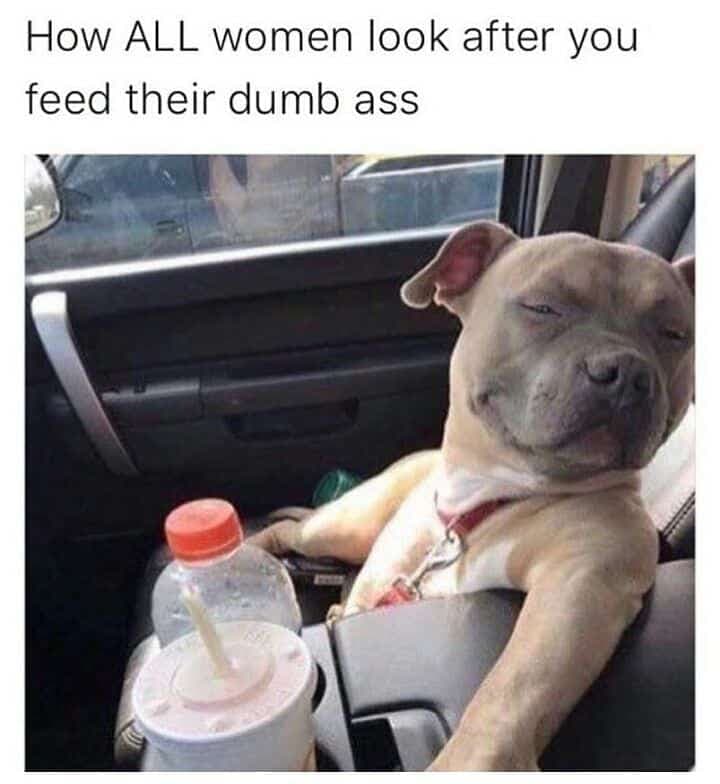 Pitbull Meme - How all women alook after you feed their dumb ass